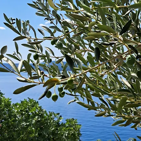 Sita Appartement